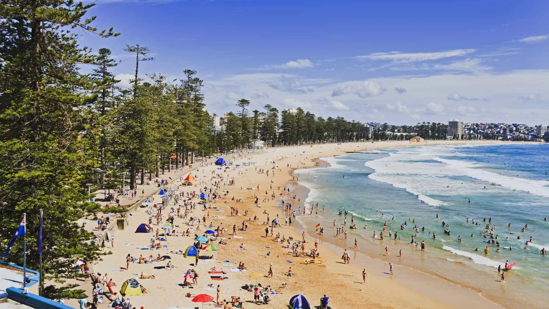 Elevated view of Manly Beach crowded with swimmers and Norfolk Island pines lining the promenade, a northern beaches service area where Mould Hunters treats mould in apartments, homes and holiday rentals