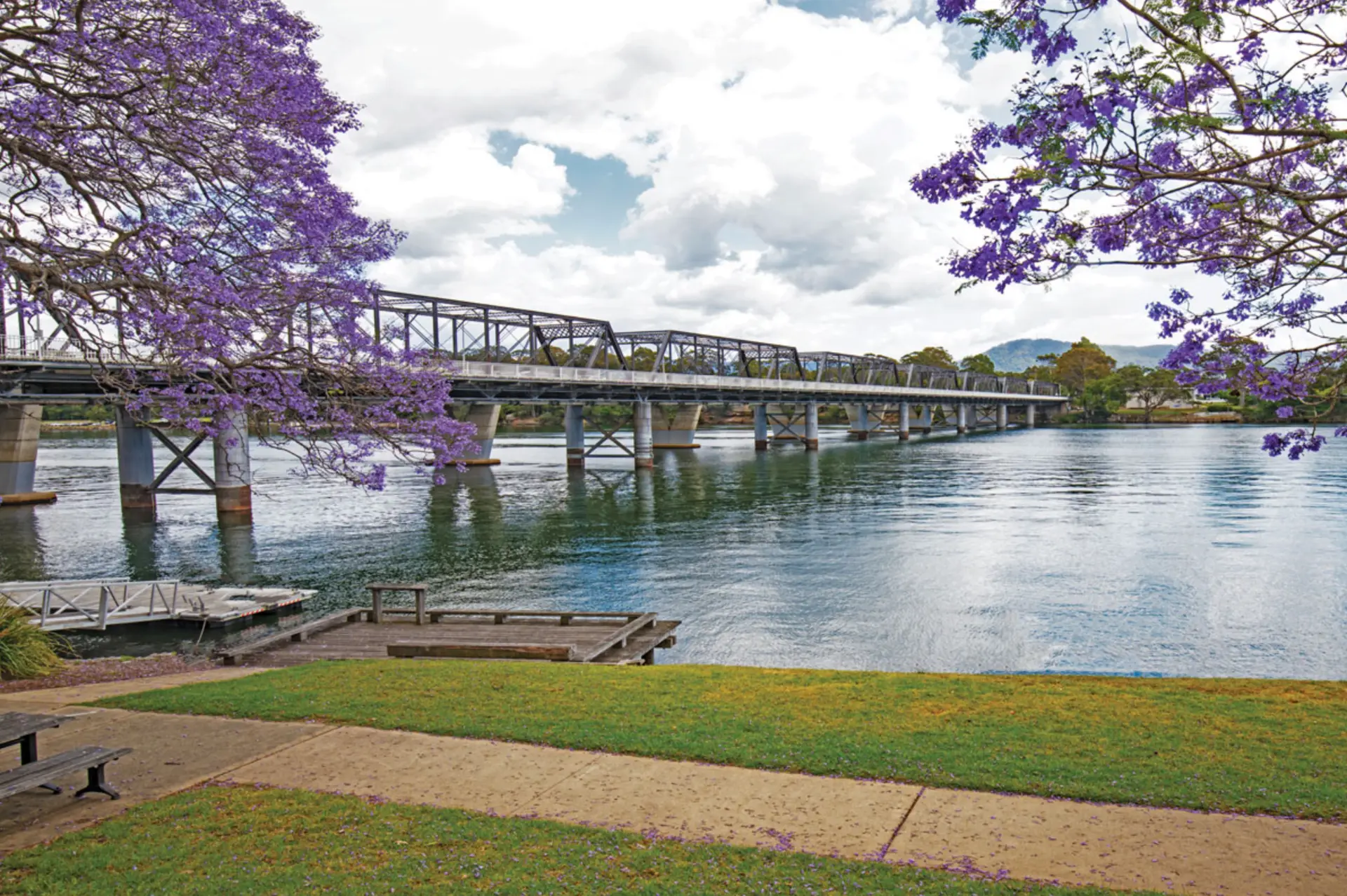 The Shoalhaven River bridge framed by jacaranda trees in Nowra, a service area where Mould Hunters treats flood, storm and water-damage mould