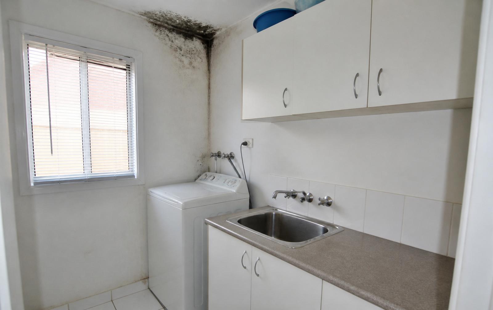 Before remediation